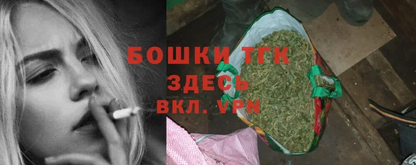 спайс Арсеньев