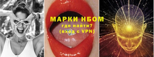 spice Аркадак
