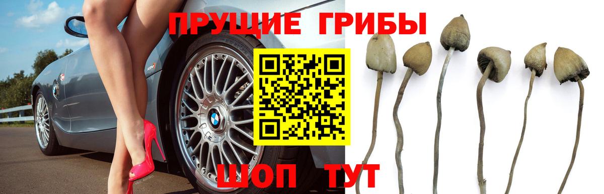 Галлюциногенные грибы GOLDEN TEACHER Архангельск